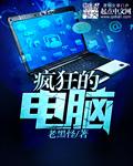 疯狂的电脑游戏