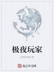 极夜玩家笔趣阁