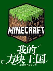 我的方块王国作文