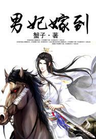 男妃嫁到II