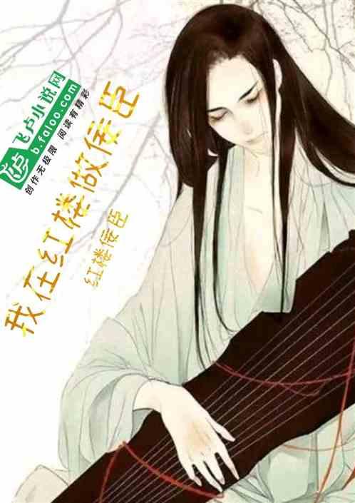 我在红楼做佞臣盗版
