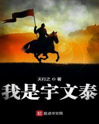 宇文泰是什么人