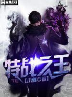 特战之王电视剧