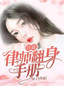 律师事务所首席律师