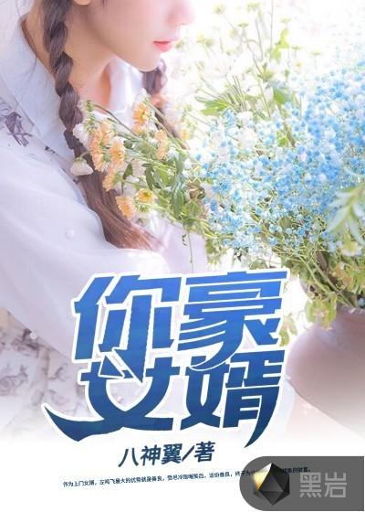你好女婿做婿