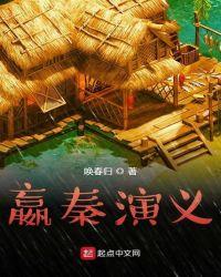 秦国赢傒历史