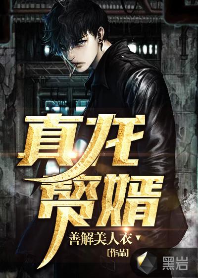 真龙赘婿全集观看