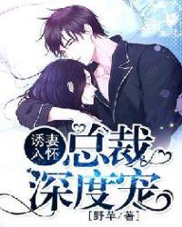 君似南风入君怀 全文免费阅读