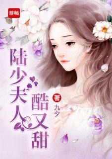 陆少夫人酷又甜短剧叶晚93