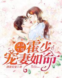 沫沫生情霍少宠妻如命免费阅读封