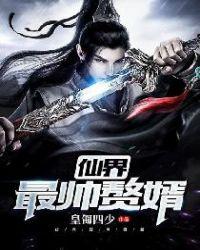 仙界最帅赘婿 皇匍四少TXT