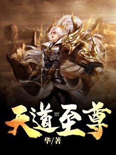 叶辰夏若雪唐云