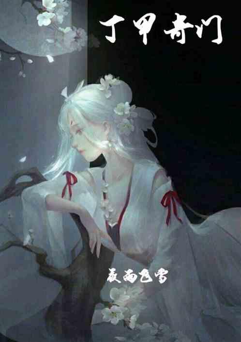 丁甲奇门是什么