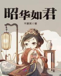 韶华情歌词 等什么君