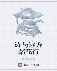 诗与远方原句