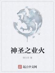 神圣之火照明科技有限公司头灯