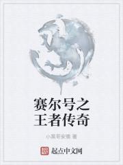 赛尔号之王者归来赛车