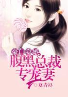 豪门隐婚腹黑总裁独宠妻