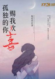 歌词 孤独的你