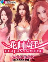低调高手百度百科女主