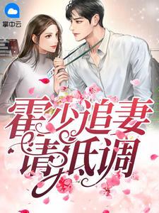 男主霍沉