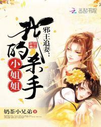 邪王追妻介绍