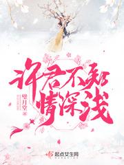 许君不知情深浅 红袖