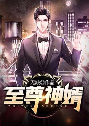 至尊神婿全集免费