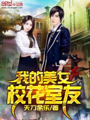 我的校花女友冰安卓完整中