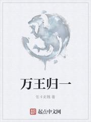 万网归一图解
