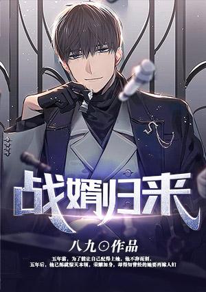 战婿归来全本