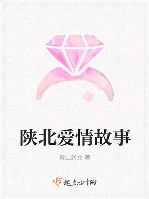 陕北情感