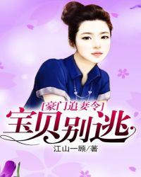 霸道老公豪门宝贝妻