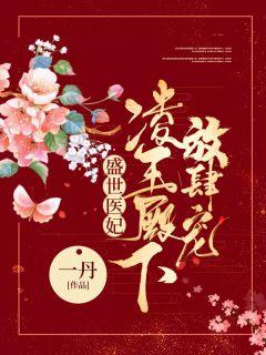 白皎皎叶昀章节列表精彩阅读