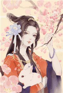 锦葵是什么花
