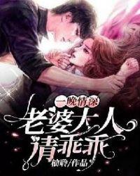 一晚情深冷面总裁大人太危险