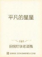 平凡的星星500字