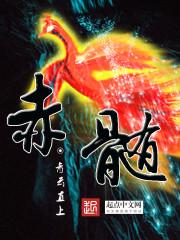 赤髓是什么