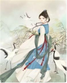 顾婉陆夜寒容峥古代抖音