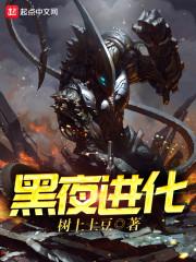 黑夜进化 起点