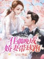 佳偶全文免费阅读