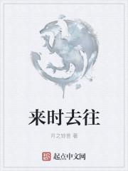 时来时往游戏