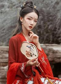 星光岛是什么意思