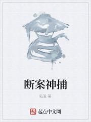 断案的电视剧