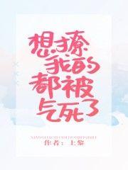 想撩我的都被气死了txt
