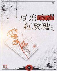 月光吻过红玫瑰主角是谁