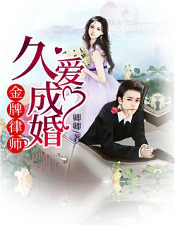 金牌律师在线阅读