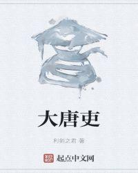电视剧大唐情吏