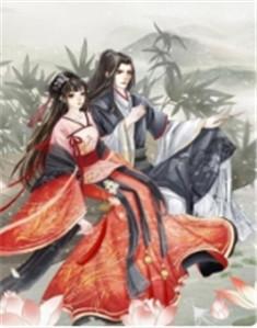重生嫡女小毒妃顾兰若