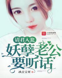 请君入婚免费阅读全文